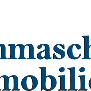 Dammasch Immobilien